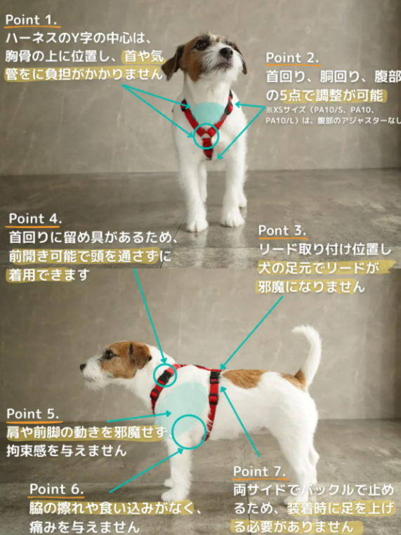 犬用ハーネス-PERROS｜獣医師推奨｜犬の体に痛みを与えにくくフィットし快適な着け心地-–-Alice-s-Dog-Cat-07-19-2025_09_52_PM