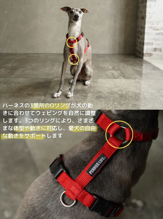 犬用ハーネス-PERROS｜獣医師推奨｜犬の体に痛みを与えにくくフィットし快適な着け心地-–-Alice-s-Dog-Cat-07-19-2025_09_53_PM