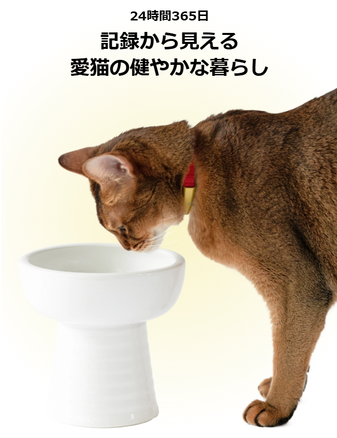 Catlog-2-の購入-Catlog-08-07-2025_10_21_PM