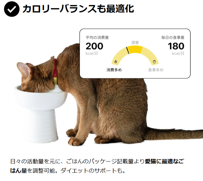 Catlog-2-の購入-Catlog-08-07-2025_10_27_PM
