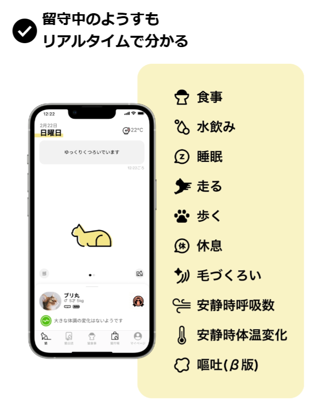 FireShot Capture 049 - Catlog 2 の購入 - Catlog - [rabo.cat]
