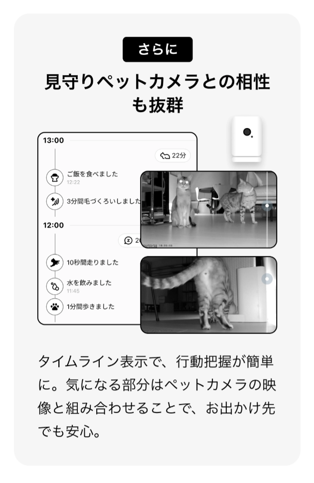 FireShot Capture 053 - Catlog 2 の購入 - Catlog - [rabo.cat]