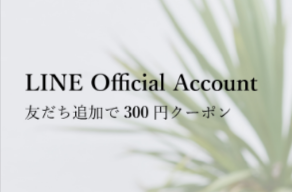 トップページ-レディース-02-10-2026_04_39_PM (2)