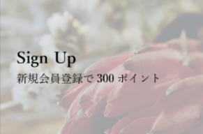 トップページ-レディース-02-10-2026_04_39_PM